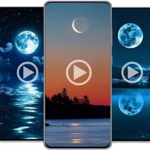 A mesmerizing moonlit scene reflected on calm water.