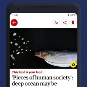 A person reading news on their phone.