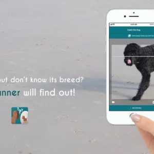 A person using their phone to scan a dog with the Dog Scanner app.