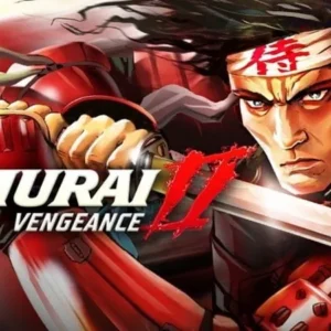 A screenshot from Samurai II: Vengeance showcasing the combat.