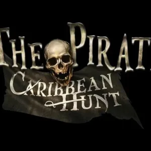 A screenshot from The Pirate: Caribbean Hunt showing a ship sailing on the open sea.
