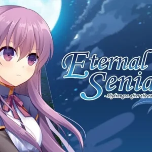 A screenshot of Eternal Senia gameplay.