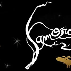 A screenshot of gameplay in Samorost 2, showing the main character interacting with the environment.