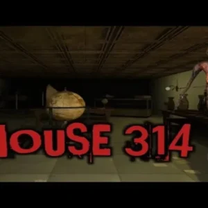 A screenshot of the game HOUSE 314 showing the character exploring a dark room.