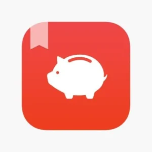 A screenshot of the Money Manager app interface showcasing its clean and user-friendly design.