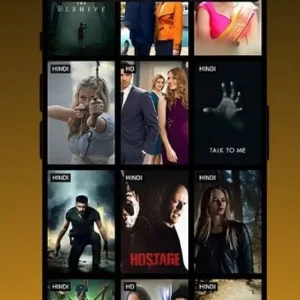 A screenshot of the Picasso app interface displaying various movie categories.