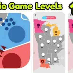 A screenshot of the State.io game showing different colored territories on a map.