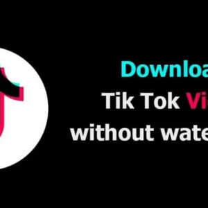 A screenshot of the Video Downloader for Tiktok app interface.
