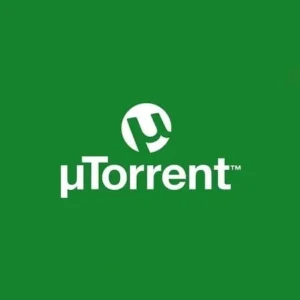 A screenshot showcasing the user interface of the uTorrent Pro application.