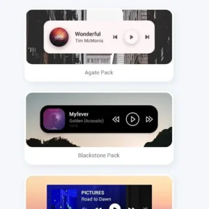 A screenshot showcasing the various widget designs available in the Audio Widget Pack app.