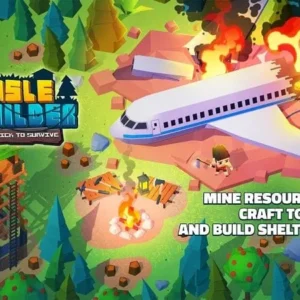 A survivor stands on a beach with a plane crashed in the background in the Isle Builder game.
