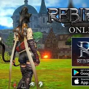 A warrior stands ready for battle in Rebirth Online.