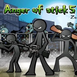 anger of stick 5