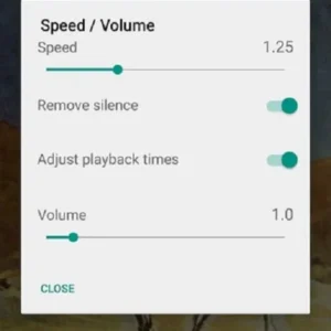 Audiobook Player Interface