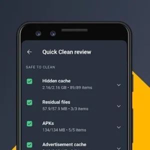AVG Cleaner mod