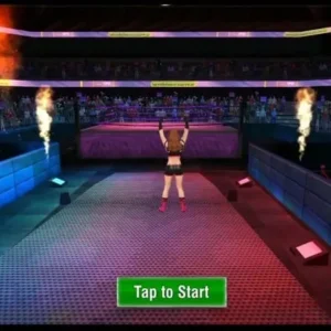 Bad Girls Wrestling Fighter mod