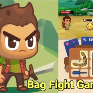 Bag Fight Gameplay