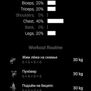 Barbell Home Workout interface