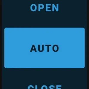 BimmerLink app interface showing diagnostic information.