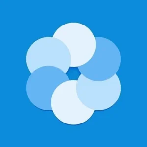 Bluecoins App Interface