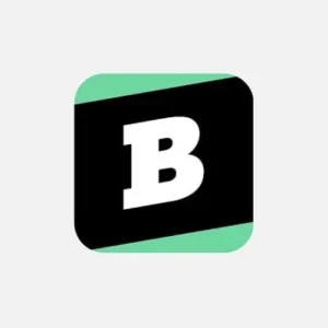 Brainly app interface