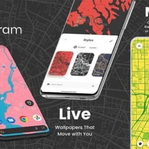 Cartogram app overview.