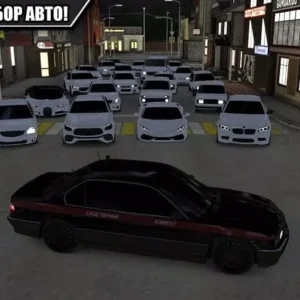 Caucasus Parking android