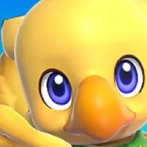 Chocobo and his kart racing on a vibrant track.