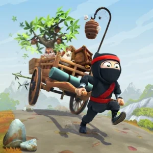 Clumsy Ninja in action