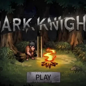 Dark Knight gameplay screenshot