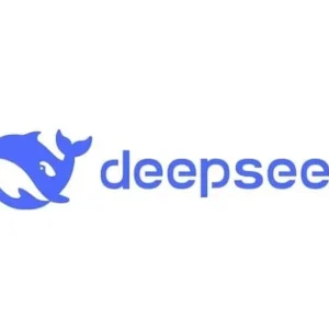 DeepSeek interface