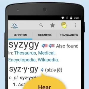 Dictionary Pro in action
