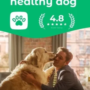 Dogo app interface showing training exercises