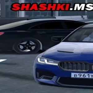 Drive World Shashki MSK Gameplay Screenshot