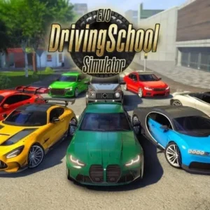 Driving School Simulator Evo in action