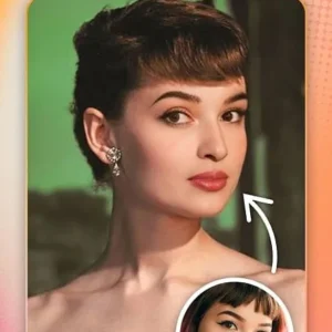 FaceShow intro image