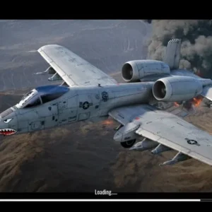 Fighter Pilot Gameplay