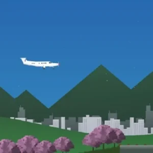 Flight experience with Flight Simulator 2d