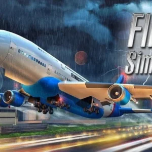 Flight Sim in action