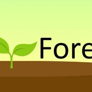 Forest main screen showing a growing tree.