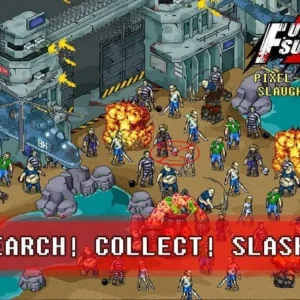 Fury Survivor Pixel Z mod