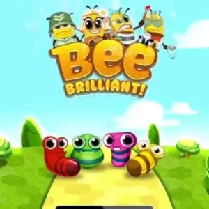Gameplay of Bee Brilliant