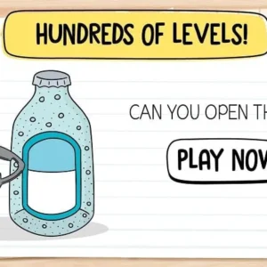 Gameplay of Brain Test
