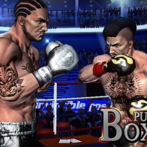 General gameplay of Punch Boxing 3D