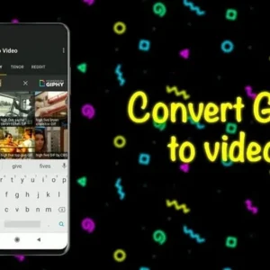 GIF to Video App Overview