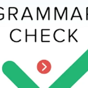 Grammar Check app interface