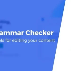 Grammar Checker Functionality