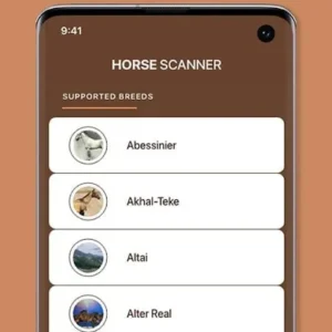 Horse recognizing different breeds of horses.