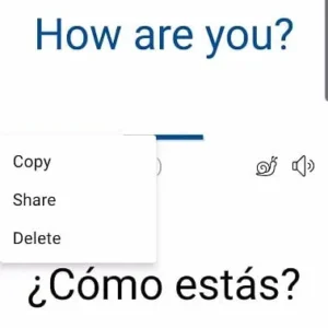 Instant Voice Translate apk