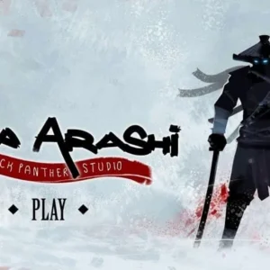 Intense ninja action in Ninja Arashi